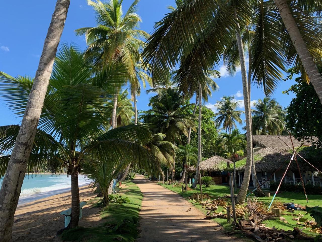 El Mosquito Boutique Hotel Playa Bonita Las Terrenas Buitenkant foto