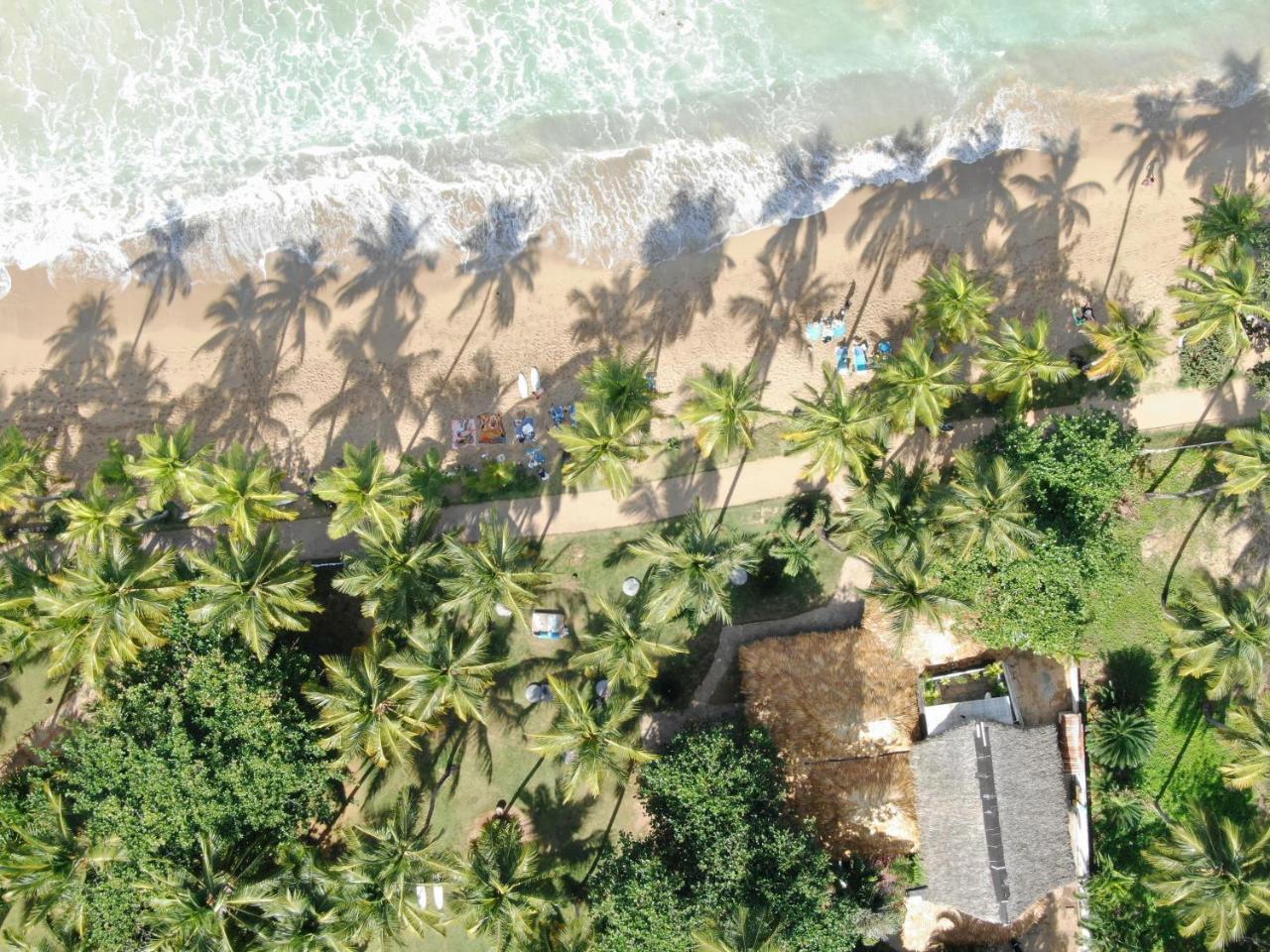 El Mosquito Boutique Hotel Playa Bonita Las Terrenas Buitenkant foto