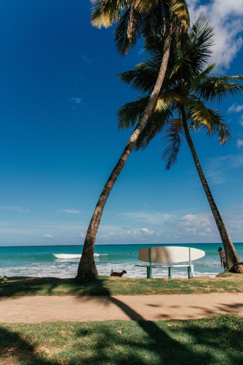 El Mosquito Boutique Hotel Playa Bonita Las Terrenas Buitenkant foto